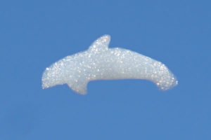 wolkenmacher logo wolken schaumwolke delphin